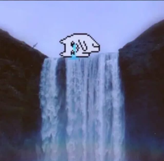 Crying Cat